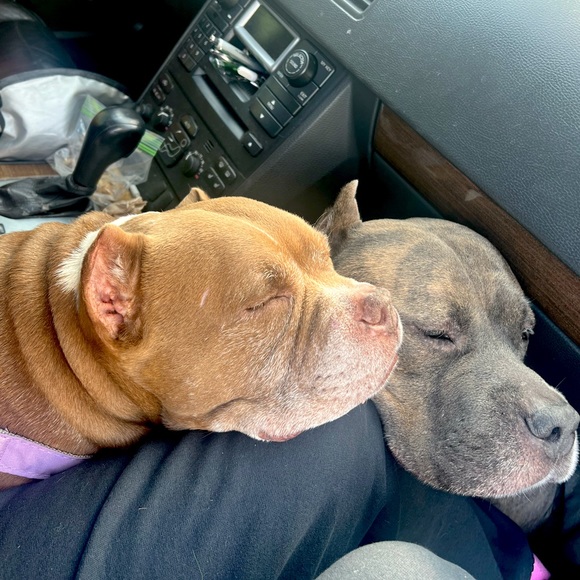 Meet your Posher, Catherine - Picture 8 of 9